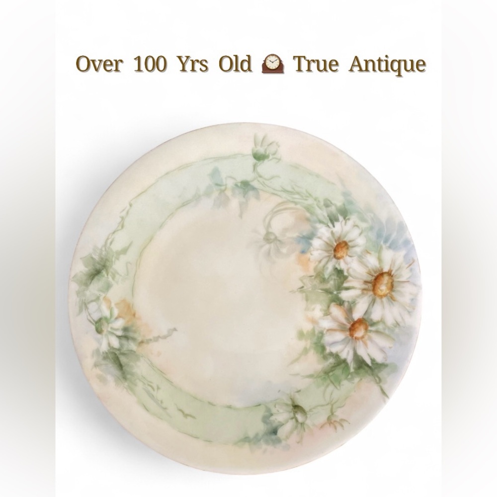 Antique Silesia Porcelain Plate 8.75” Hand Painted Daisy Floral Germany Poland